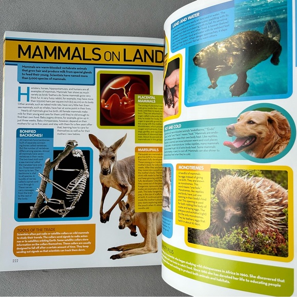 Science Encyclopedia ~ National Geographic ~ Softcover - Picture 5 of 7